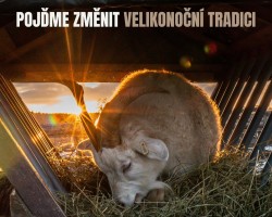 Pojďme změnit velikonoční tradici na Farmě Naděje (Dobrovítov)